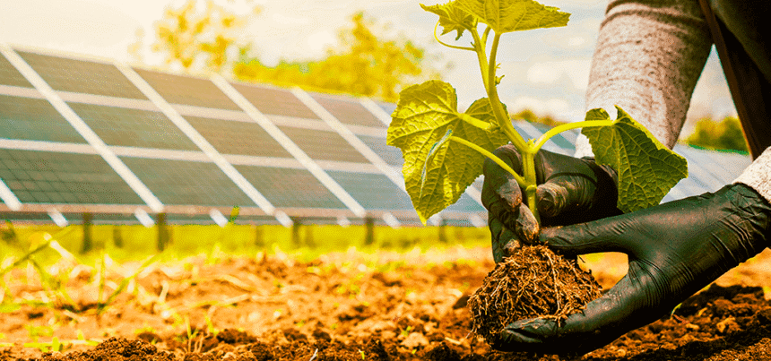 Energia Limpa e Sustentabilidade: A Importância das Usinas Solares para o Futuro do Planeta