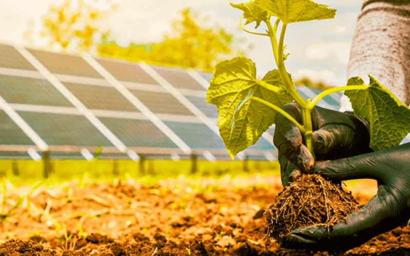 Energia Limpa e Sustentabilidade: A Importância das Usinas Solares para o Futuro do Planeta